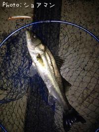 �����Х�