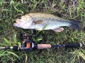 �֥�å��Х�