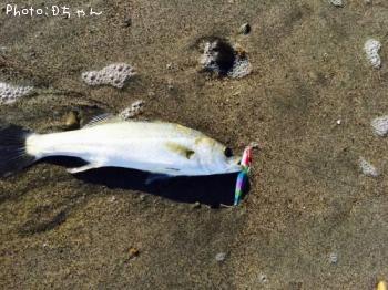 �����Х�