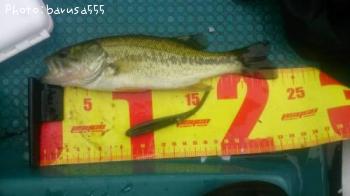 �֥�å��Х�