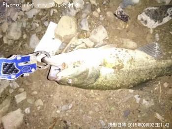 �֥�å��Х�