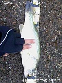 ¥Ö¥é¥Ã¥¯¥Ð¥¹