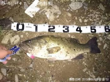 �֥�å��Х�