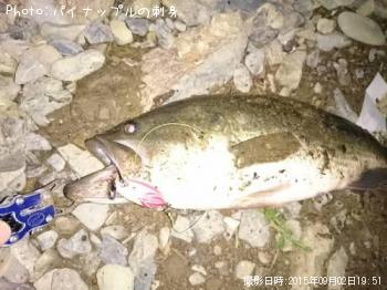 �֥�å��Х�