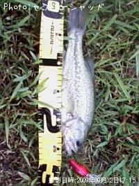 ¥Ö¥é¥Ã¥¯¥Ð¥¹