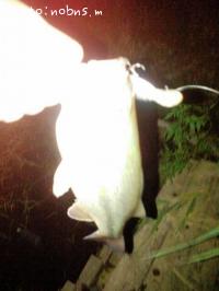 �֥�å��Х�