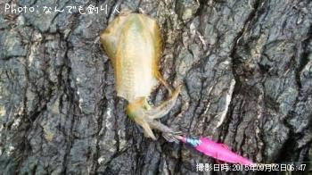 �����ꥤ��