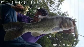 �֥�å��Х�