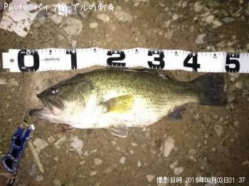 �֥�å��Х�