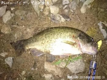 �֥�å��Х�