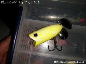 �֥�å��Х�