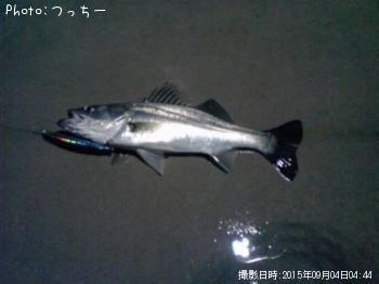 �����Х�