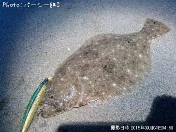 �ҥ��ʥ�����