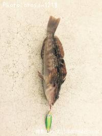 �����ʥ�