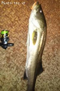 �����Х�