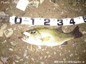 �֥�å��Х�