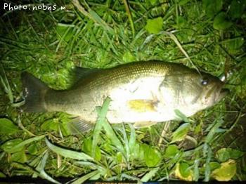 �֥�å��Х�