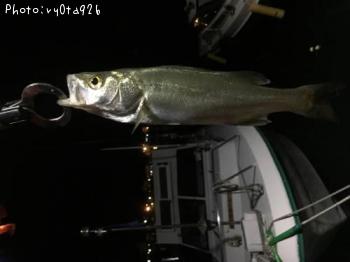 �����Х�