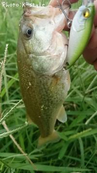 �֥�å��Х���