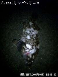 ¥¿¥±¥Î¥³¥á¥Ð¥ë