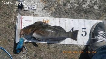 �����ʥ�