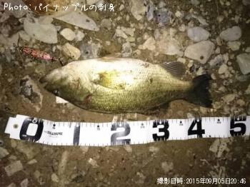 �֥�å��Х�