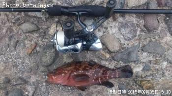 �����ϥ�