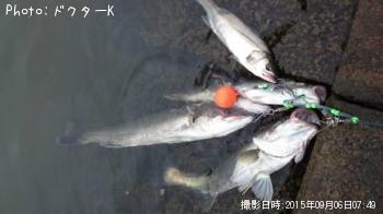 �����Х�