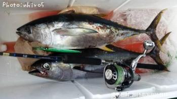 ���ϥ��ޥ���