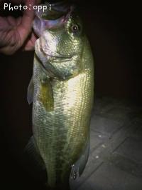 ¥Ö¥é¥Ã¥¯¥Ð¥¹