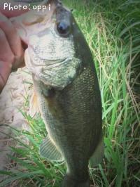 �֥�å��Х�