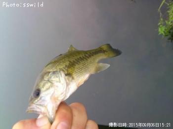 �֥�å��Х�