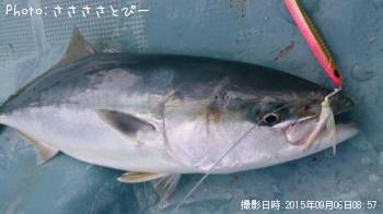 ��饵������������