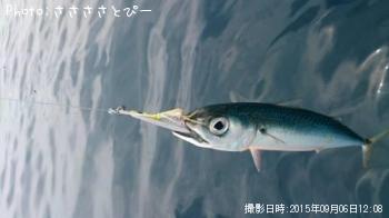 ��饵������������