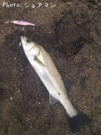 �����Х�