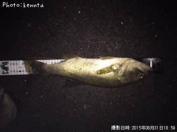 �֥�å��Х�