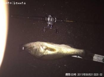 �֥�å��Х�