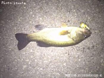 �֥�å��Х�