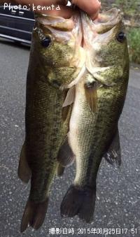 ¥Ö¥é¥Ã¥¯¥Ð¥¹