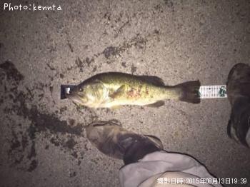 �֥�å��Х�