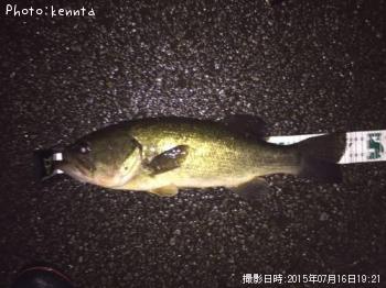 ¥Ö¥é¥Ã¥¯¥Ð¥¹