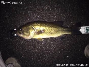 �֥�å��Х�