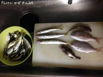 ���ޥ����������䡢�ϥ������С���Х�