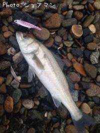 �����Х�