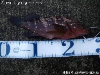 �����ϥ�