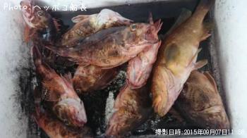 �����ϥ�