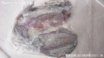 �����ꥤ��