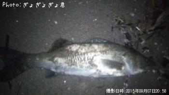 �����Х�