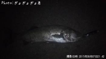 �����Х�