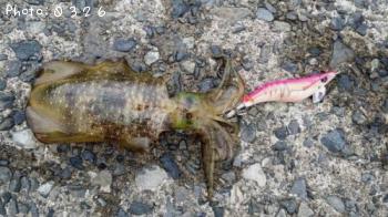 �����ꥤ��